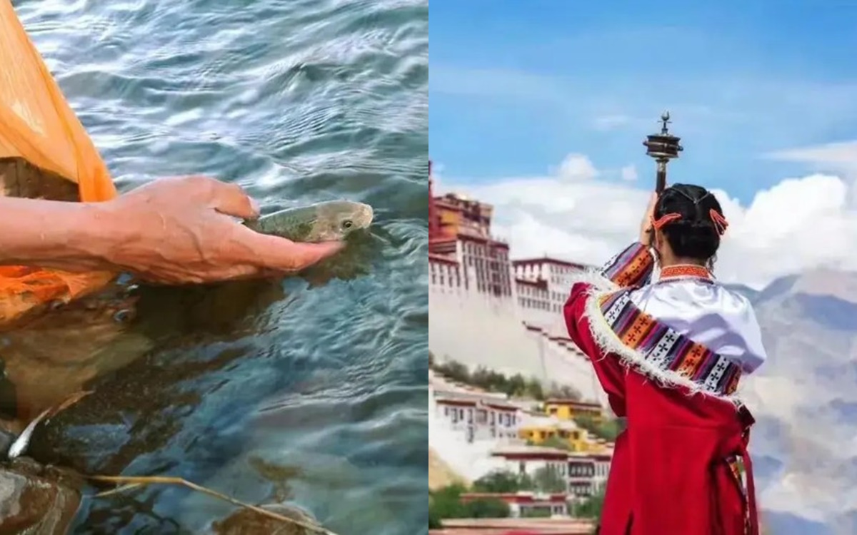 Hồ này ở Tây Tạng có đến 800 triệu kg cá, nhưng không một ai dám bắt, là vì lý do tâm linh?