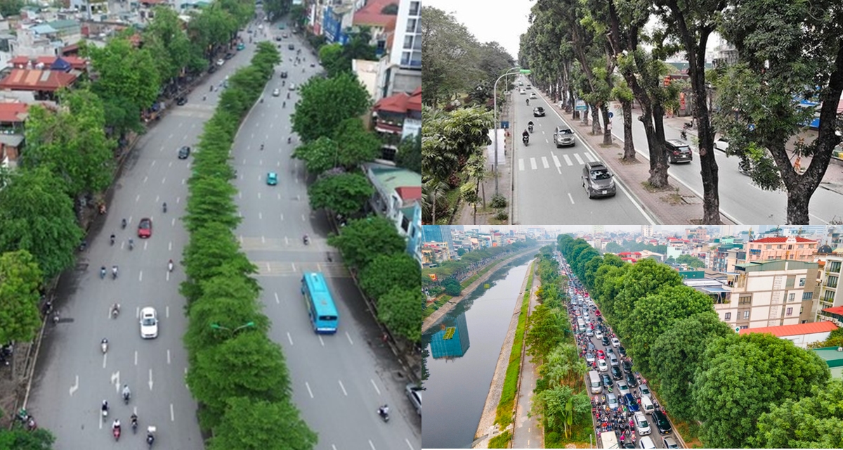 Con đường dài nhất Hà Nội: Tập trung nhiều đại học hàng đầu Việt Nam, người Thủ đô gốc chưa chắc biết