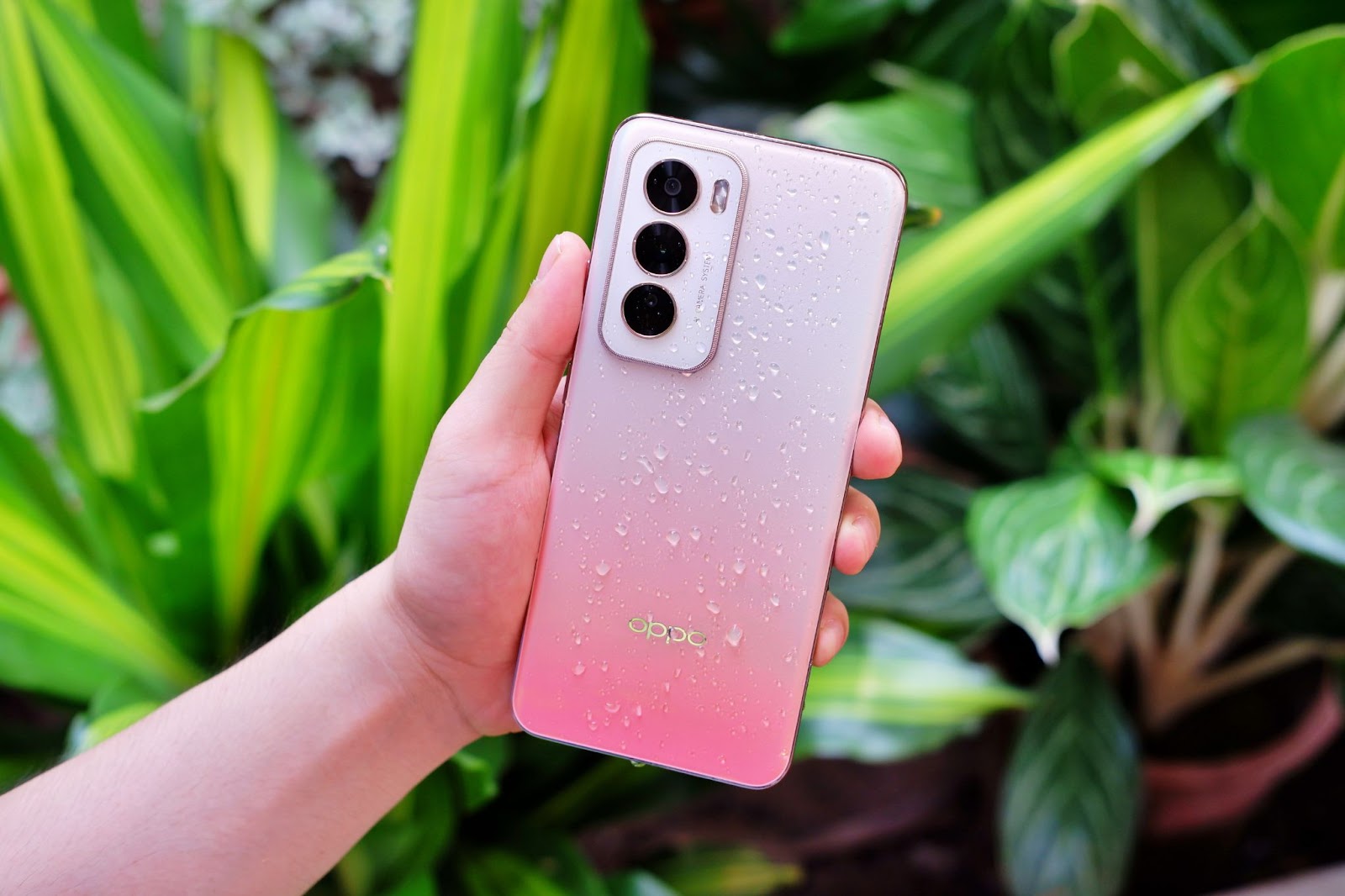 Đánh giá Reno12 Series: Một trải nghiệm AI Phone cực khác lạ đến từ gia đình OPPO