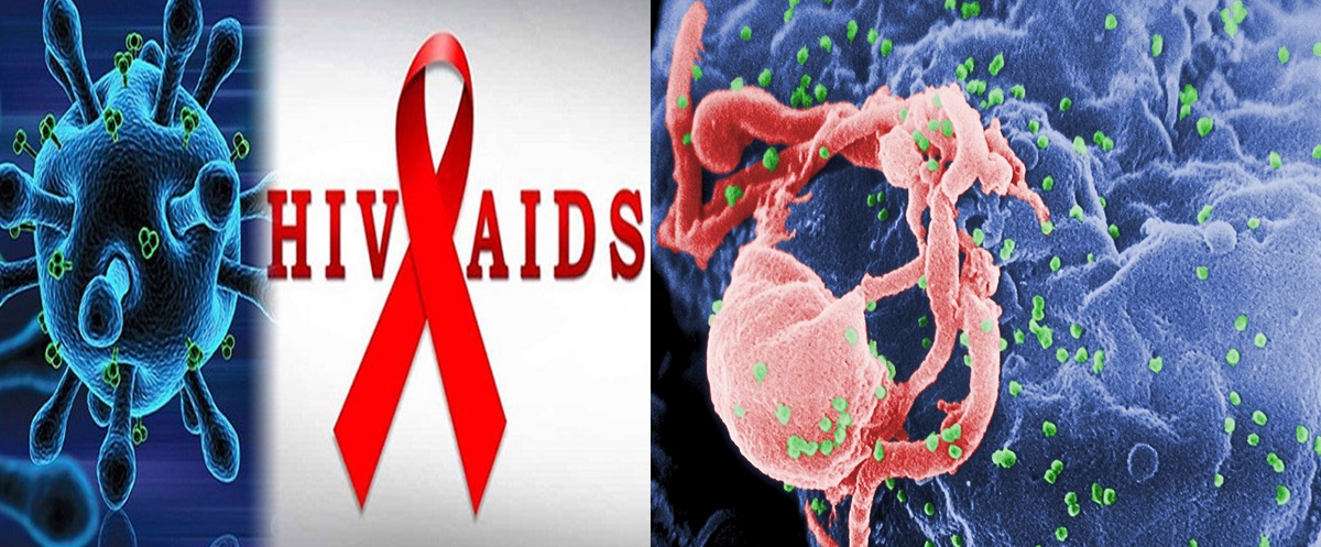 Nguyên nhân và triệu chứng của căn bệnh thế kỷ HIV mà bạn nên biết