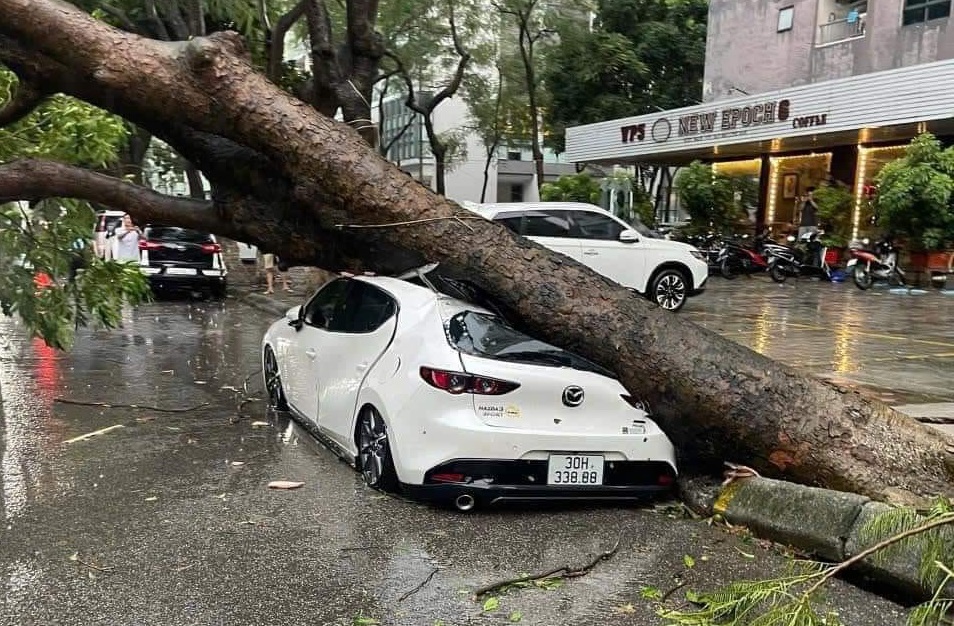 Hà Nội: Hàng loạt ô tô, xe máy bị cây đổ bẹp rúm do ảnh hưởng của siêu bão Yagi