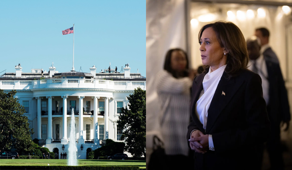 Lý do khiến bà Kamala Harris thua \'thảm hại\' dưới tay ông Donald Trump