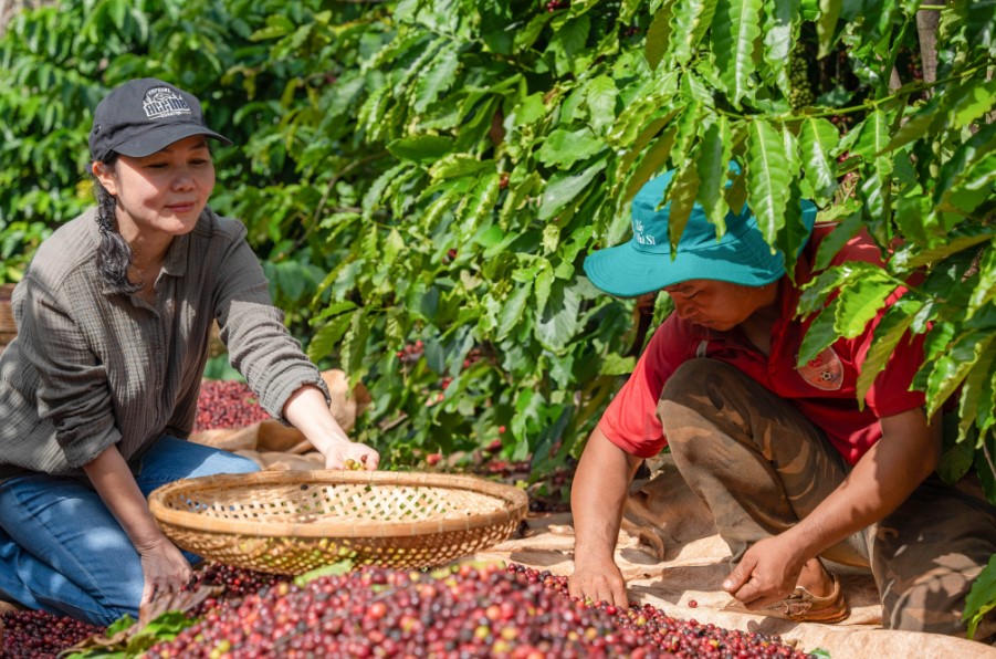 Giá cà phê hôm nay 6/3/2025: Cao nhất lịch sử, có nơi sẽ tăng hơn 135.000 đồng/kg