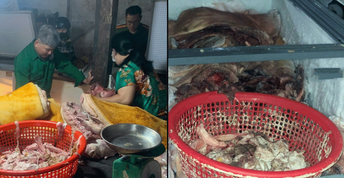 Bình Phước: Tiêu hủy gần 800kg thịt heo ôi thiu, nhiễm dịch tả lợn châu Phi không rõ nguồn gốc