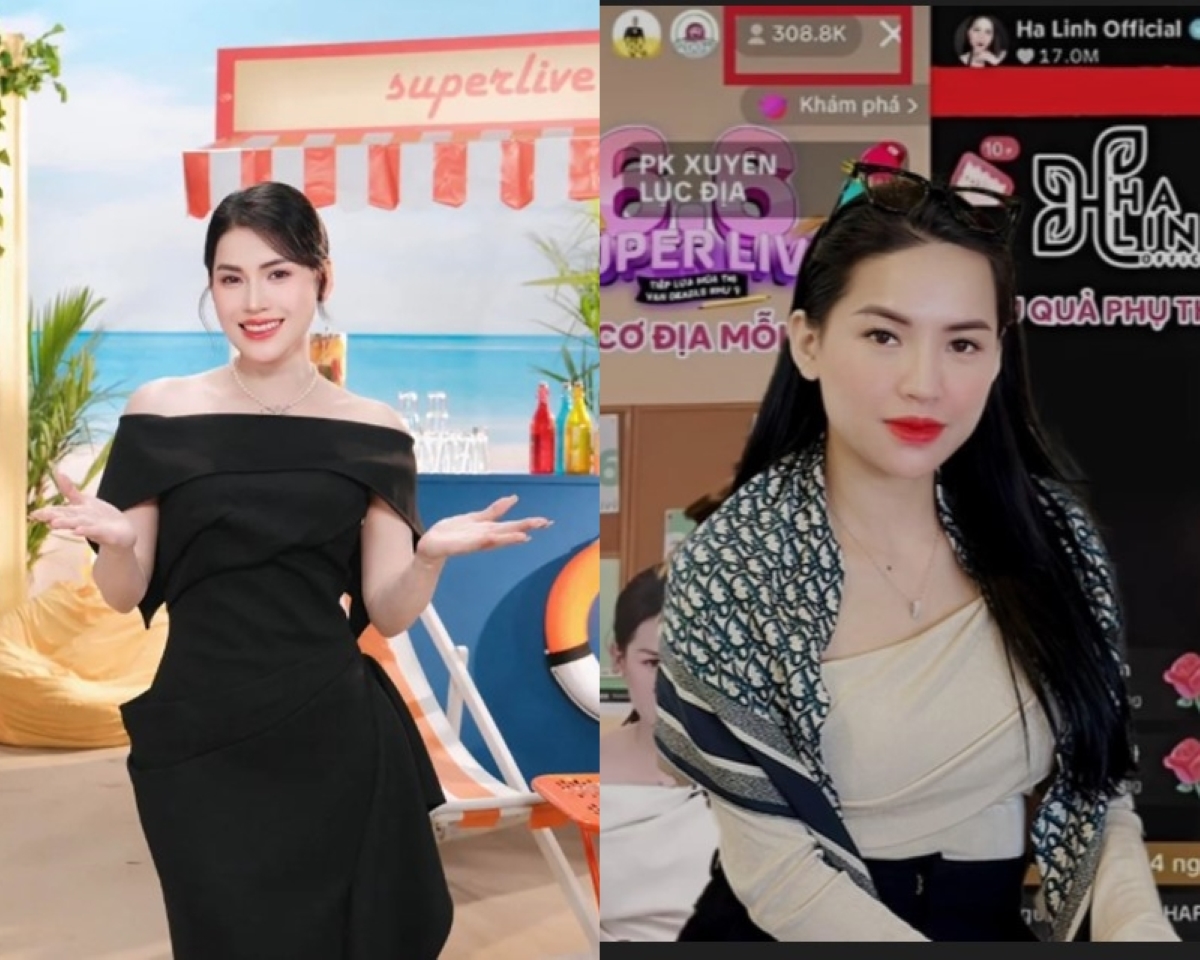 \'Chiến thần\' Võ Hà Linh có thể chịu án phạt \'trời giáng\' nếu vụ bán phá giá vi phạm pháp luật 