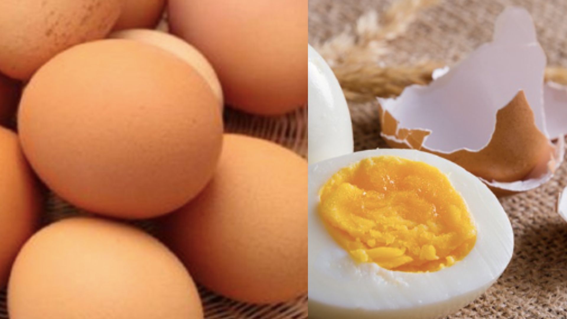 Sự thật phía sau những quả trứng ‘cao su’ gây bão mạng xã hội 