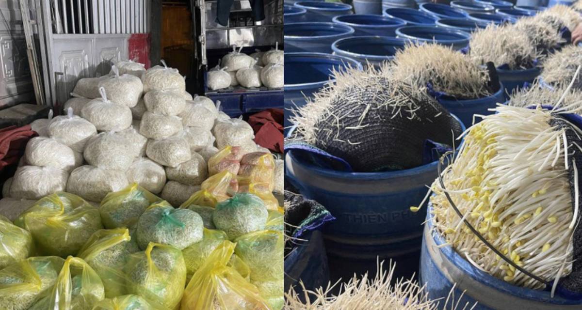 Rùng mình với cảnh bên trong nơi sản xuất hàng trăm tấn giá đỗ bằng chất cấm có thể gây chết người