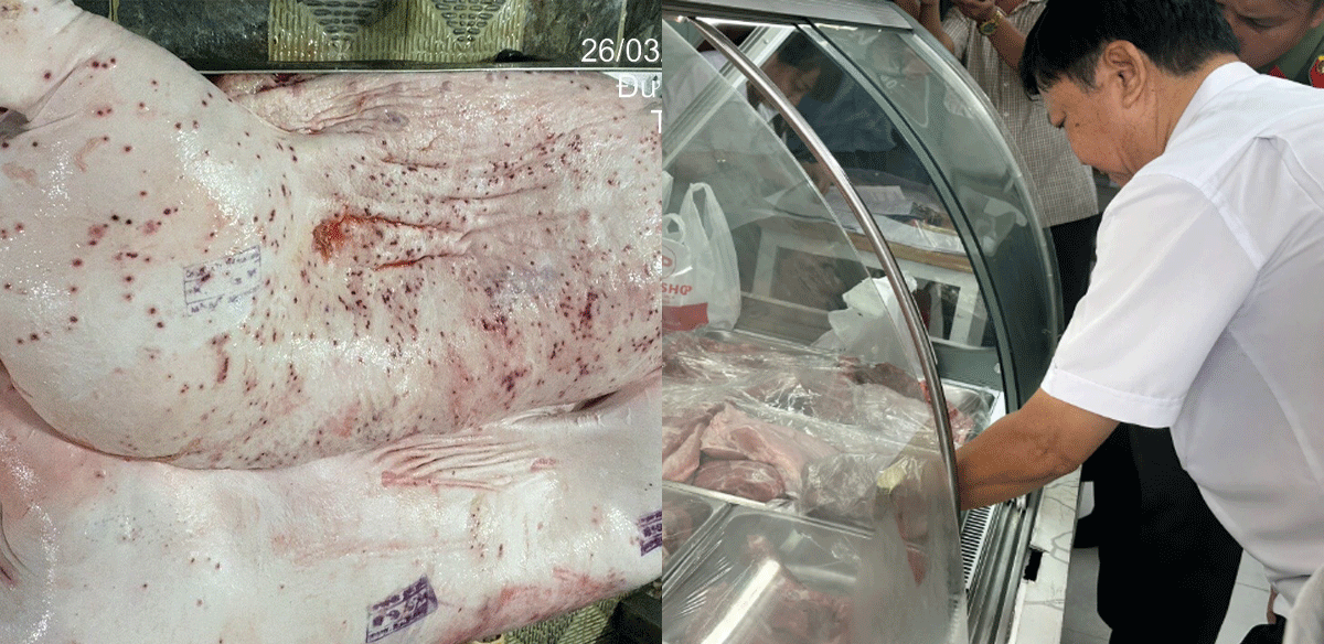 Nóng: Kết quả kiểm tra ban đầu vụ Công ty C.P bị tố chế biến lợn, gà bệnh để bán ra thị trường