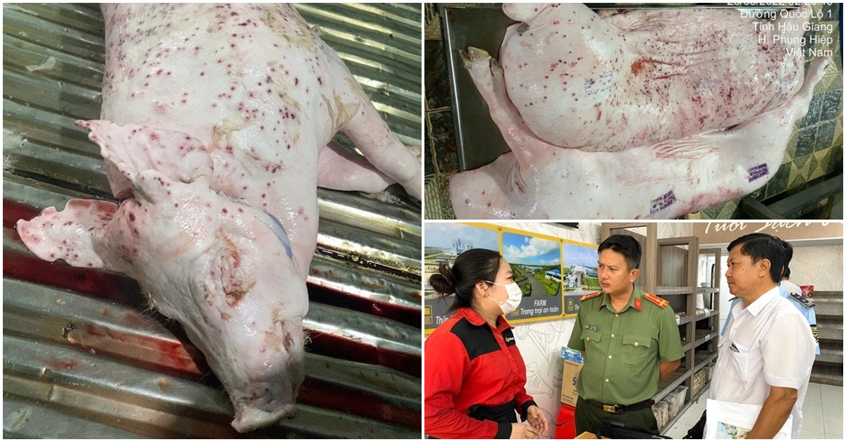 Xôn xao đơn tố cáo Công ty cổ phần Chăn nuôi C.P. Việt Nam bán heo, gà mắc bệnh, cơ quan chức năng vào cuộc