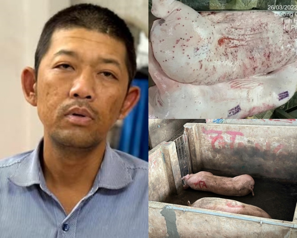 Người tố cáo C.P Việt Nam \'tuồn\' heo bẩn hỏi \'gắt\': Sao hôm trước nói tôi bịa đặt, giờ lại nhận?