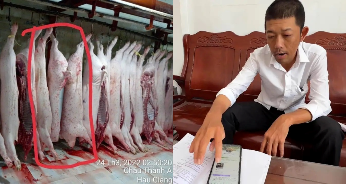 Ông Liễu Quý Ngân tiết lộ sốc vụ heo bệnh, công khai danh tính người lạ mặt đến nhà đòi livestream