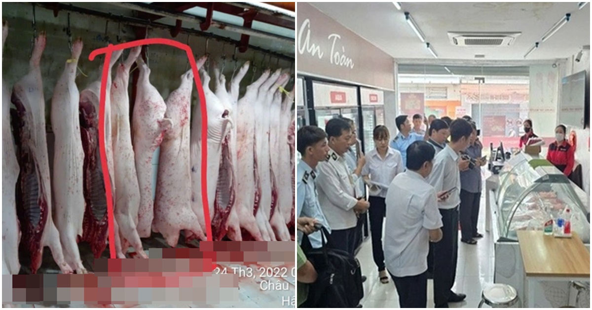 Công ty C.P Việt Nam nói gì sau khi có kết quả điều tra vụ tố bán heo bệnh ra thị trường?