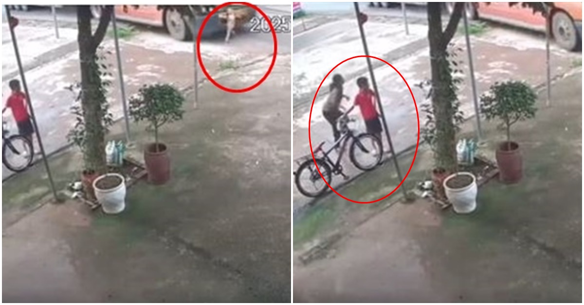 Ám ảnh cảnh bé gái băng qua đường bị xe tải tông trực diện tử vong, người thân gào khóc trong đau đớn