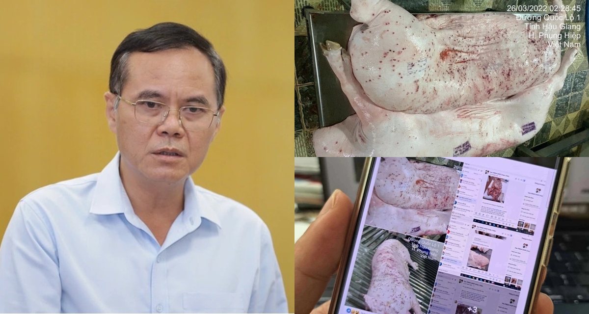 Lộ diện người đóng dấu kiểm dịch sai với heo bệnh Công ty C.P, bất ngờ lời khai và hình thức xử lý