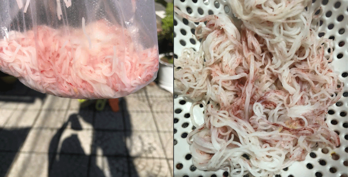 Người phụ nữ hoảng sợ khi phát hiện sợi bún để dành cho cho con trai ăn đổi màu từ trắng sang đỏ