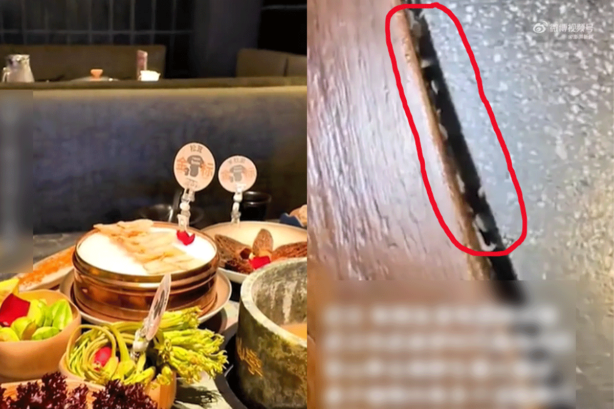 Nguyên nhân loạt giòi bò trong khe bàn nhà hàng lẩu và kết quả kiểm tra an toàn vệ sinh thực phẩm