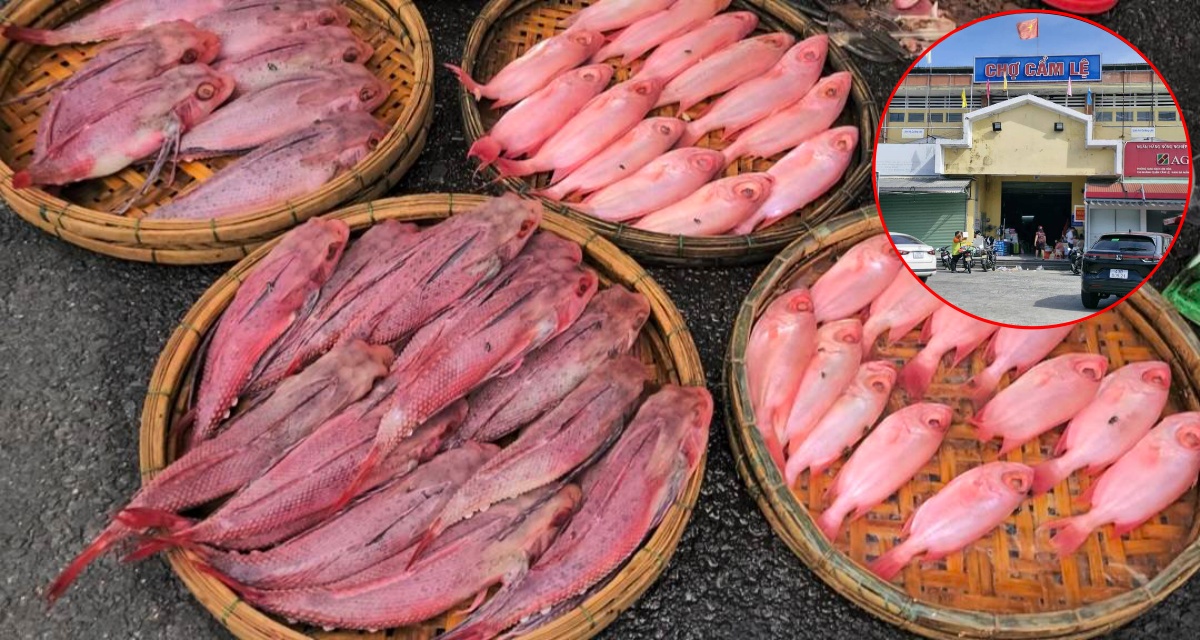 Vụ cá có màu đỏ như phẩm nhuộm tại chợ Cẩm Lệ: Ban quản lý nói rõ sự thật