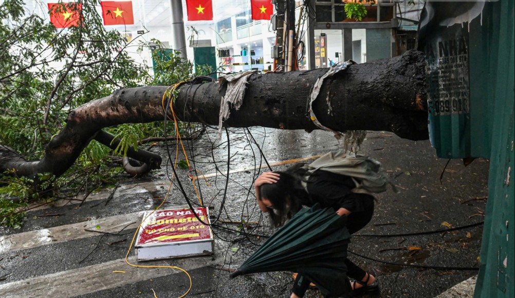 Cơn giông lốc lớn tại Hà Nội hôm nay 19/7: Cây bật gốc, mái tôn bay, nhiều ô tô hạng sang bị hư hại