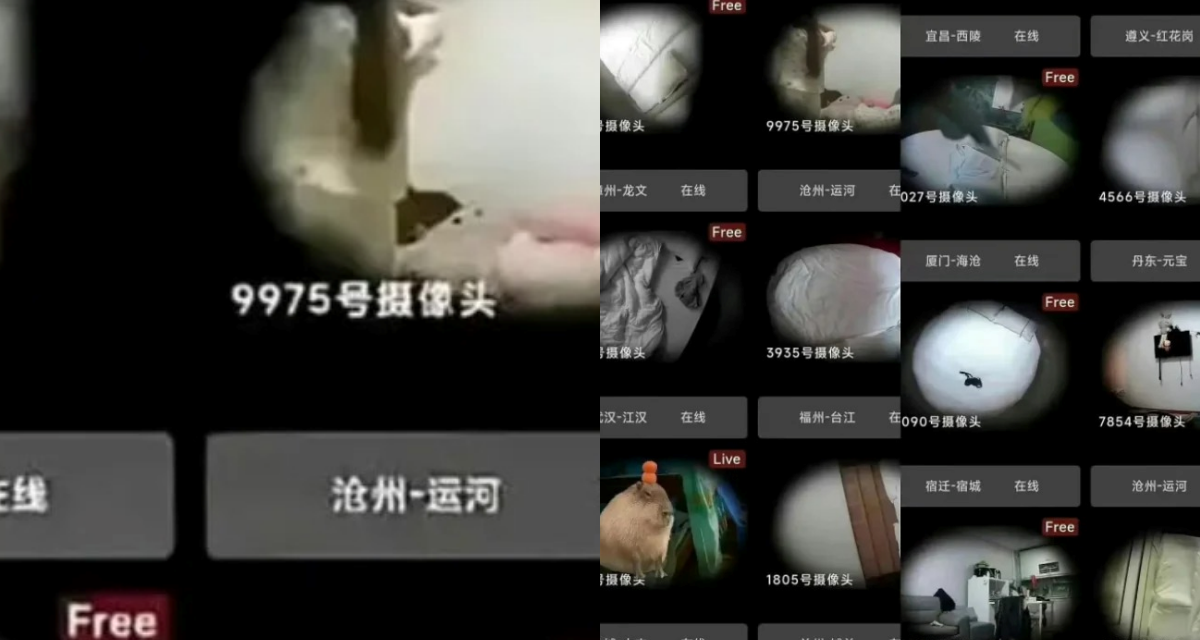 Rúng động: Lộ \'phòng chat thứ N\', chồng tung clip của vợ, livestream làm chuyện tày trời với con gái