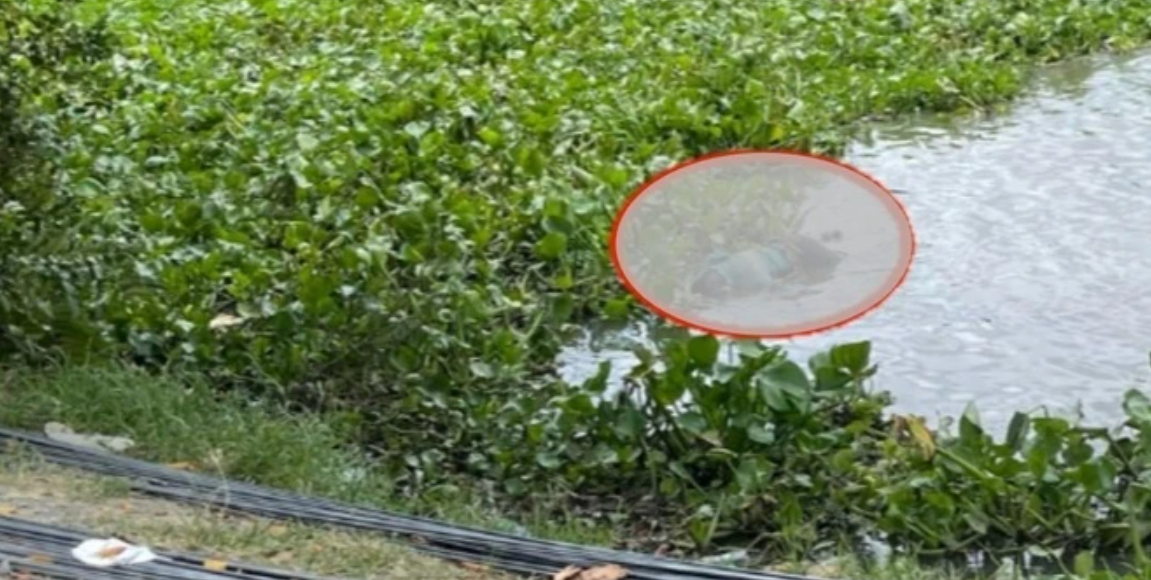 NÓNG: Đang vớt thi thể cô gái nhảy cầu, lực lượng chức năng sốc nặng khi phát hiện thêm 1 thi thể nam giới
