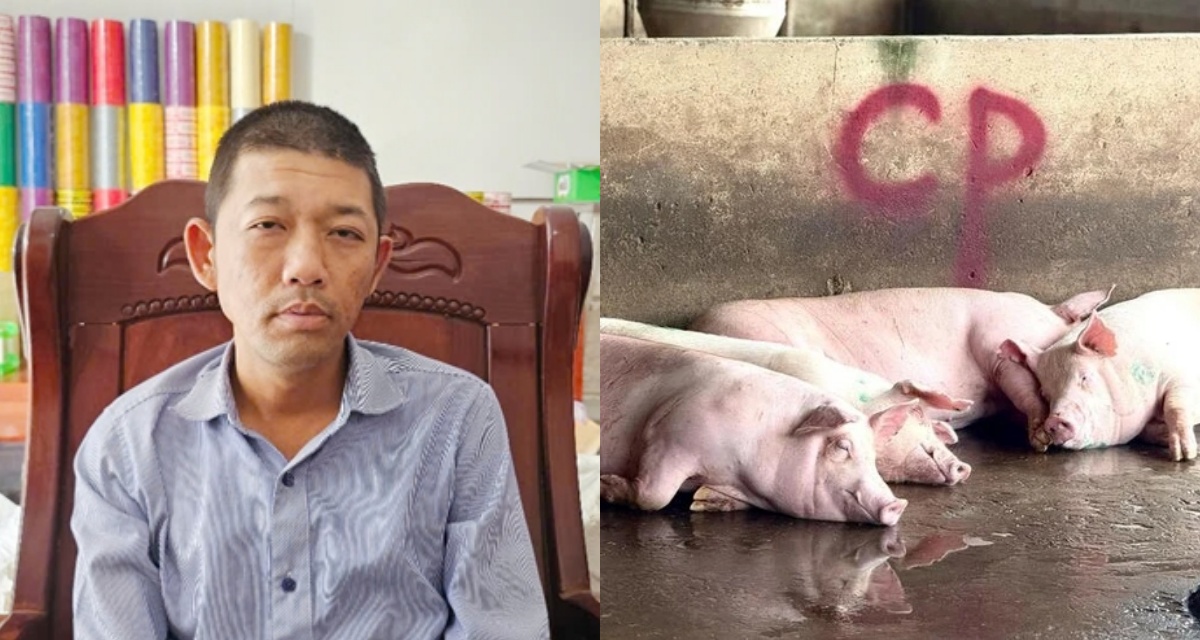 Diễn biến mới vụ C.P. bị tố bán thịt heo bệnh: Người tố cáo nhận giấy triệu tập nhưng tiết lộ lý do từ chối đến