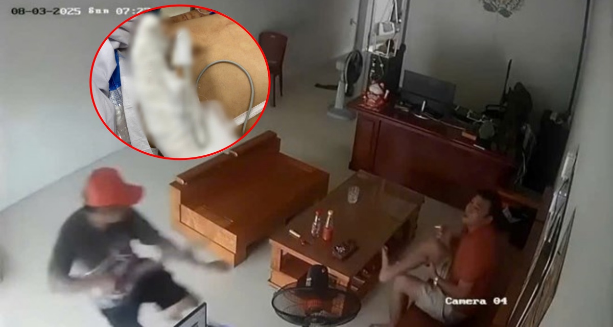 Hải Phòng: Đang ngồi trong nhà, người đàn ông bị kẻ lạ chém lìa tay, camera ghi lại toàn bộ diễn biến sốc