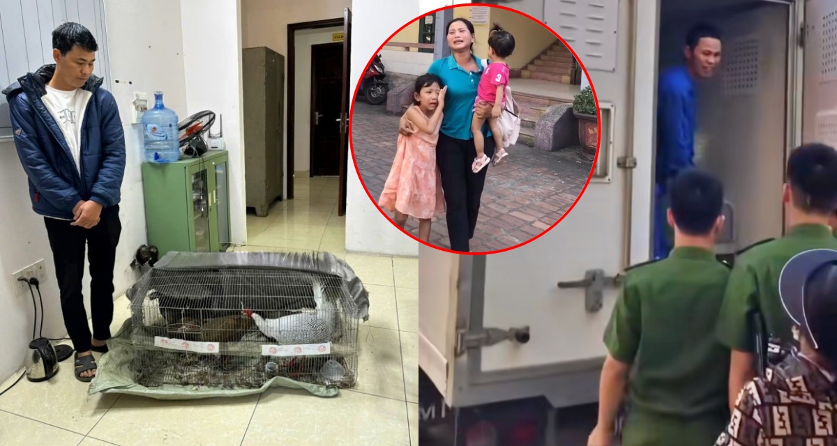 Hoàn cảnh đáng thương hơn đáng trách của người đàn ông lĩnh 6 năm tù vì bán gà lôi trắng