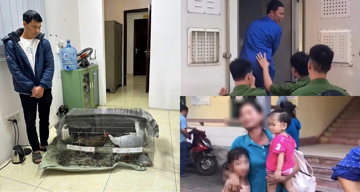 Hé lộ lời khai của Thái Khắc Thành nuôi, bán gà lôi trắng: Biết rõ vẫn phạm tội, 6 năm tù có nặng?