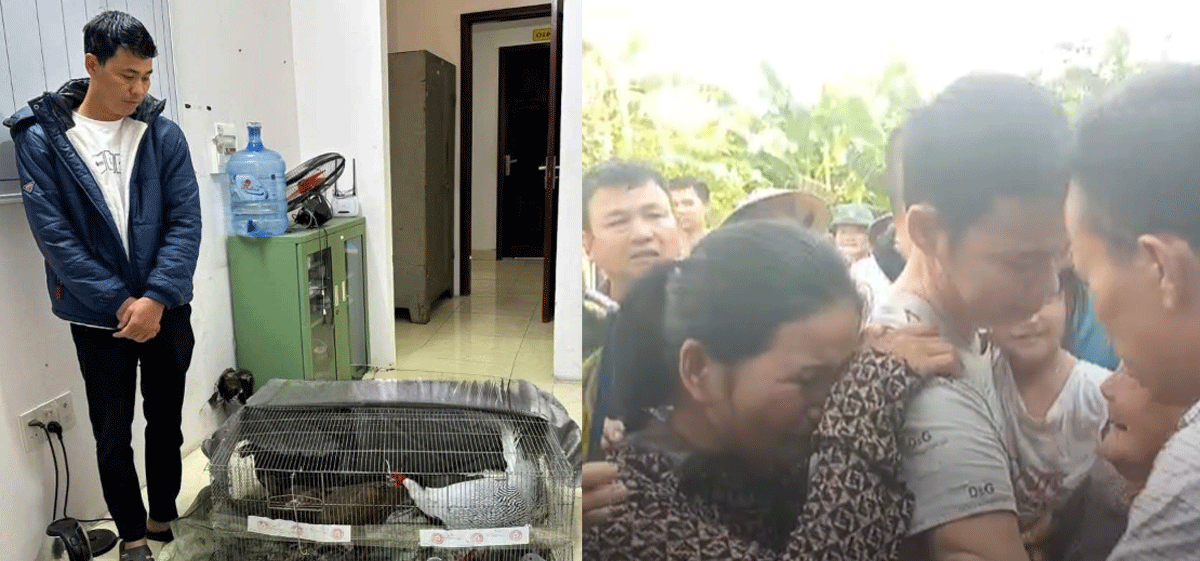 Luật sư chỉ ra tình tiết giảm nhẹ trong vụ anh Thái Khắc Thành nuôi 13 con gà lôi bị tuyên 6 năm tù