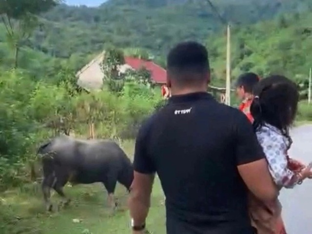 Trâu điên đoạt mạng bé gái 4 tuổi ở Nghệ An, xót xa trước hoàn cảnh gia đình thương tâm