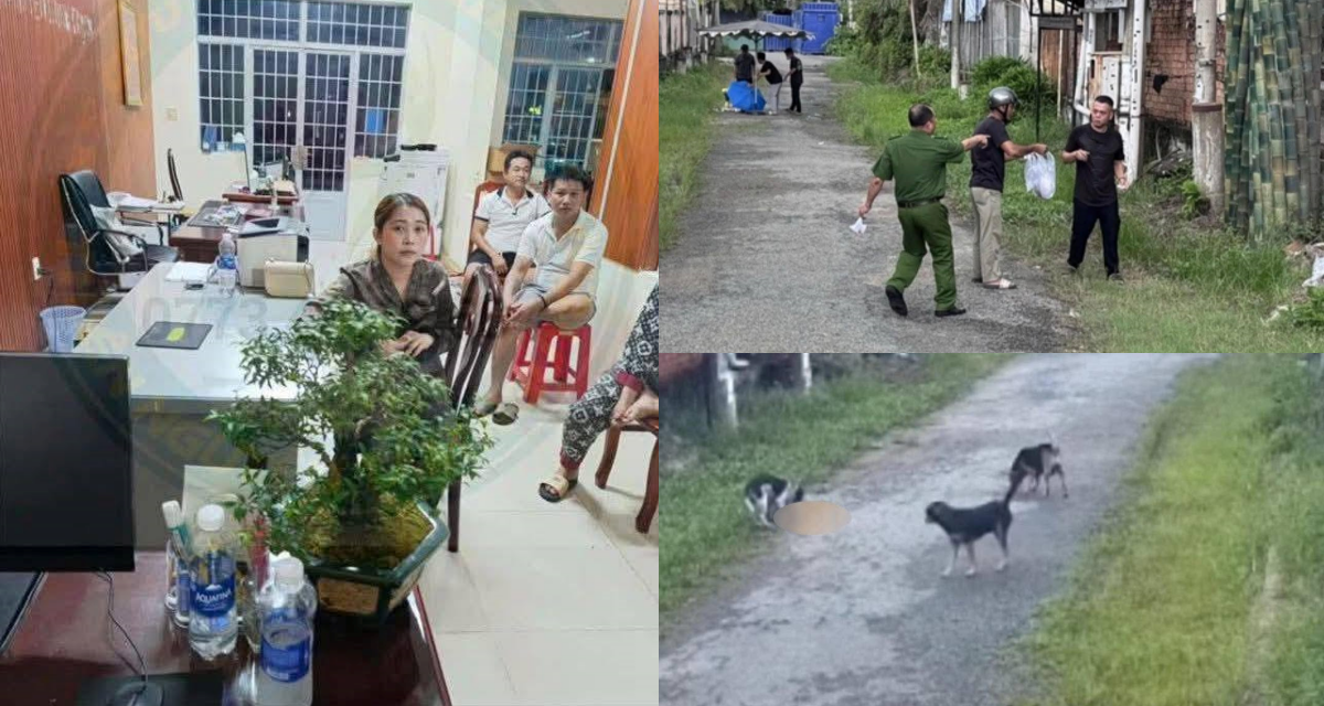 Đã tìm ra nhóm người vứt bé sơ sinh nơi hoang vắng tại TP.HCM, ớn lạnh lời khai của người mẹ