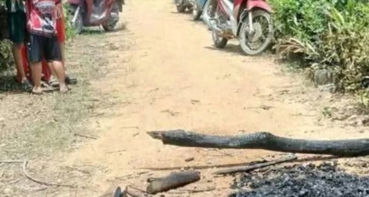 Vợ khóc ngất phát hiện chồng qua đời trong tình trạng cháy đen trước nhà, tìm thấy 1 thứ đáng nghi