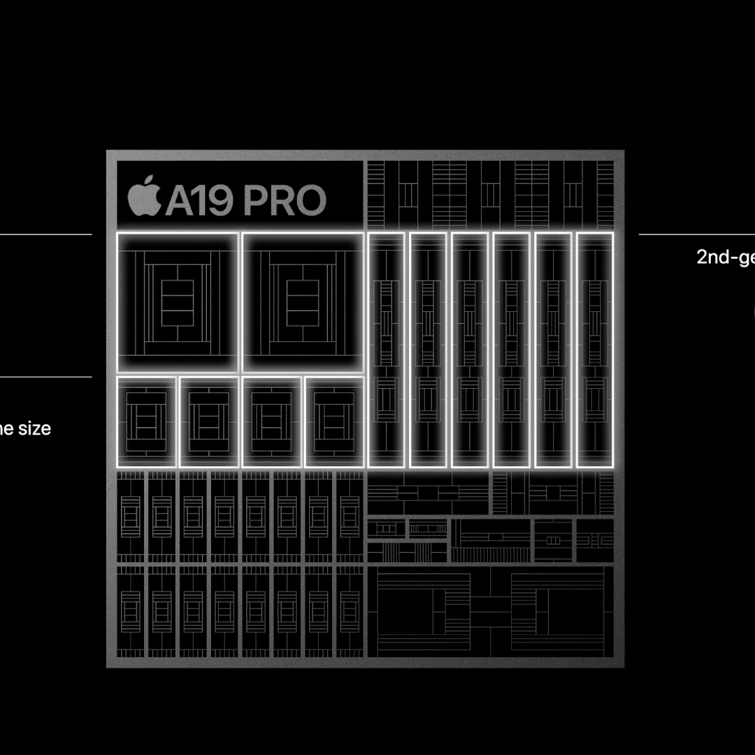 chip4-1757751640.jpg