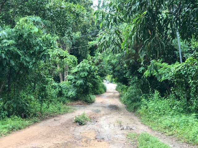 Nhân thân bất hảo của đối tượng nghi dùng dao sát hại mẹ ruột, chém trọng thương chị gái ở TP.HCM