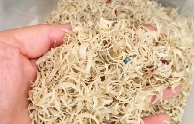 Hé lộ lý do Trung Quốc thu mua móng tay người với giá cao