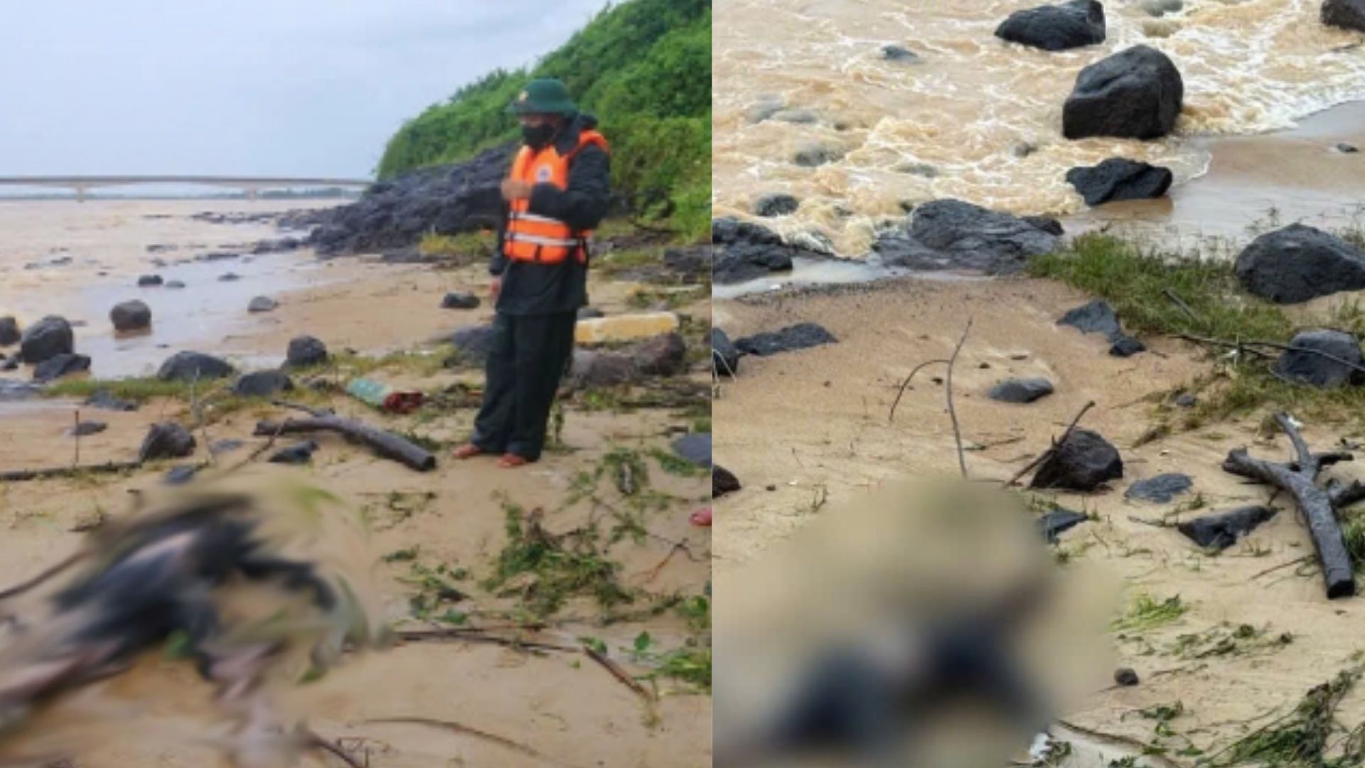 Đã xác định danh tính thi thể trôi dạt vào bờ biển Cửa Tùng: Không liên quan vụ 9 ngư dân mất tích