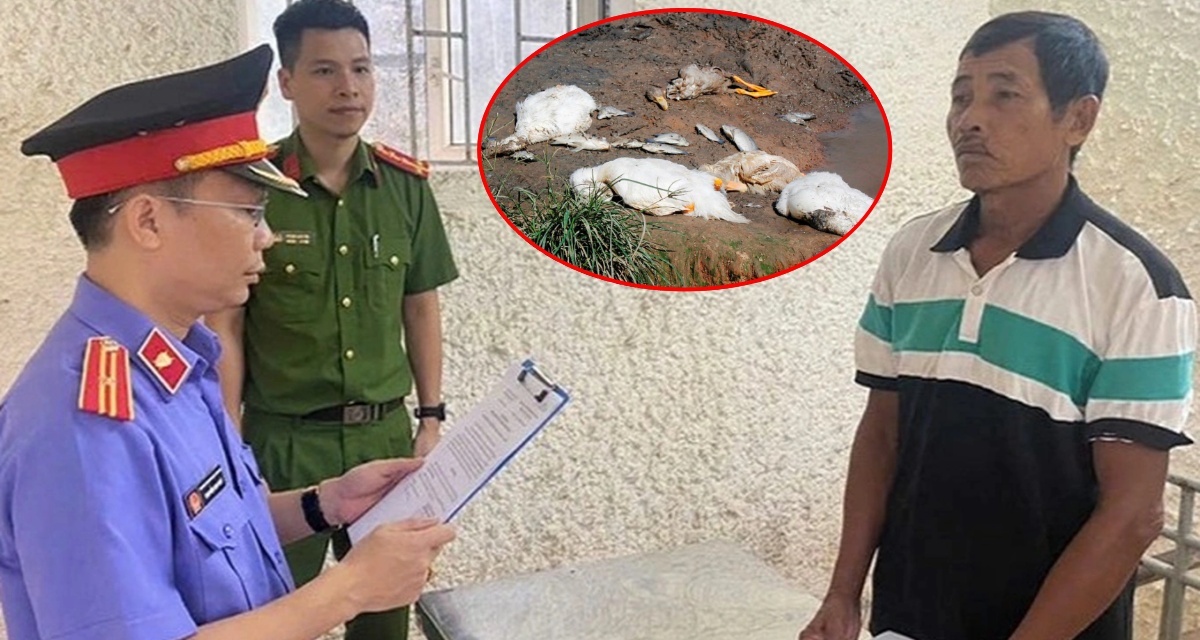 Khởi tố, bắt tạm giam người đàn ông đâm hàng xóm vì nghi ngờ đầu độc 3 con vịt, đối diện án phạt nghiêm khắc