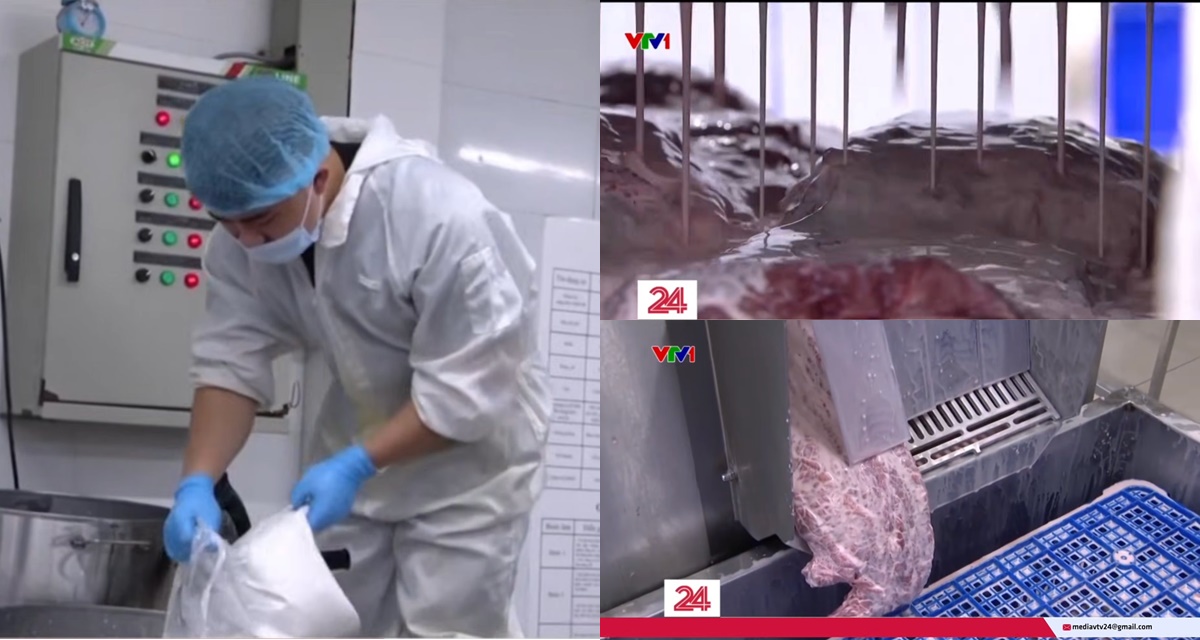 Kinh hãi cận cảnh quá trình bơm tinh chất biến thịt trâu để cả năm trời thành bò Wagyu thượng hạng