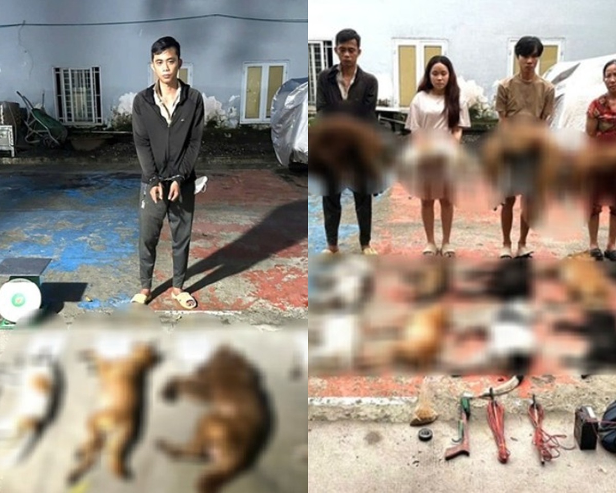 Triệt phá lò mổ chó từ các đối tượng đi trộm: Công an thu giữ được gì đáng chú ý tại hiện trường?