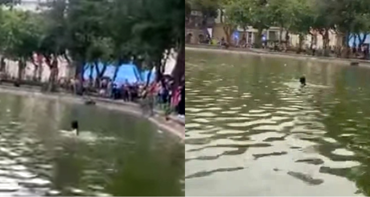Biểu hiện lạ của cô gái trước khi nhảy xuống hồ Hoàn Kiếm tử vong, nhiều người thấy nhưng không cứu?