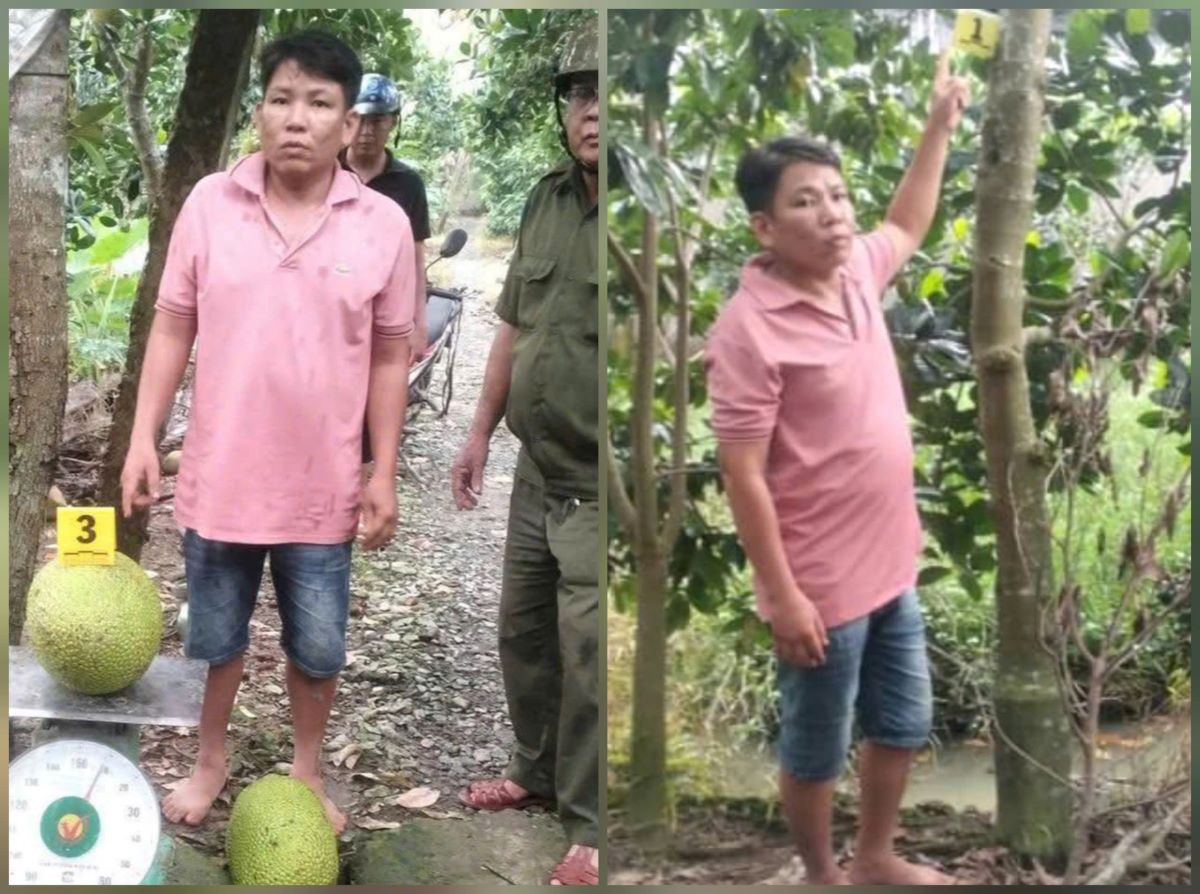 Hé lộ lý do khởi tố đối tượng trộm 2 quả mít trị giá 387 ngàn đồng