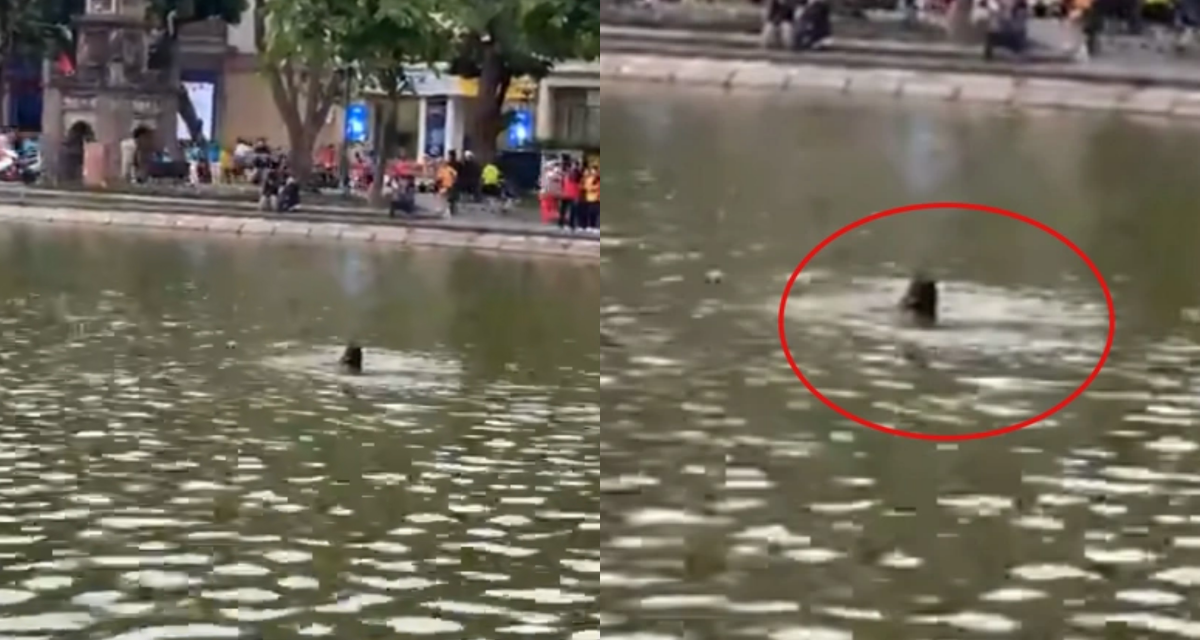 Hoàn cảnh cô gái đuối nước tử vong ở hồ Hoàn Kiếm: Người thân lên tiếng, tiết lộ tình trạng tâm lý trước đó