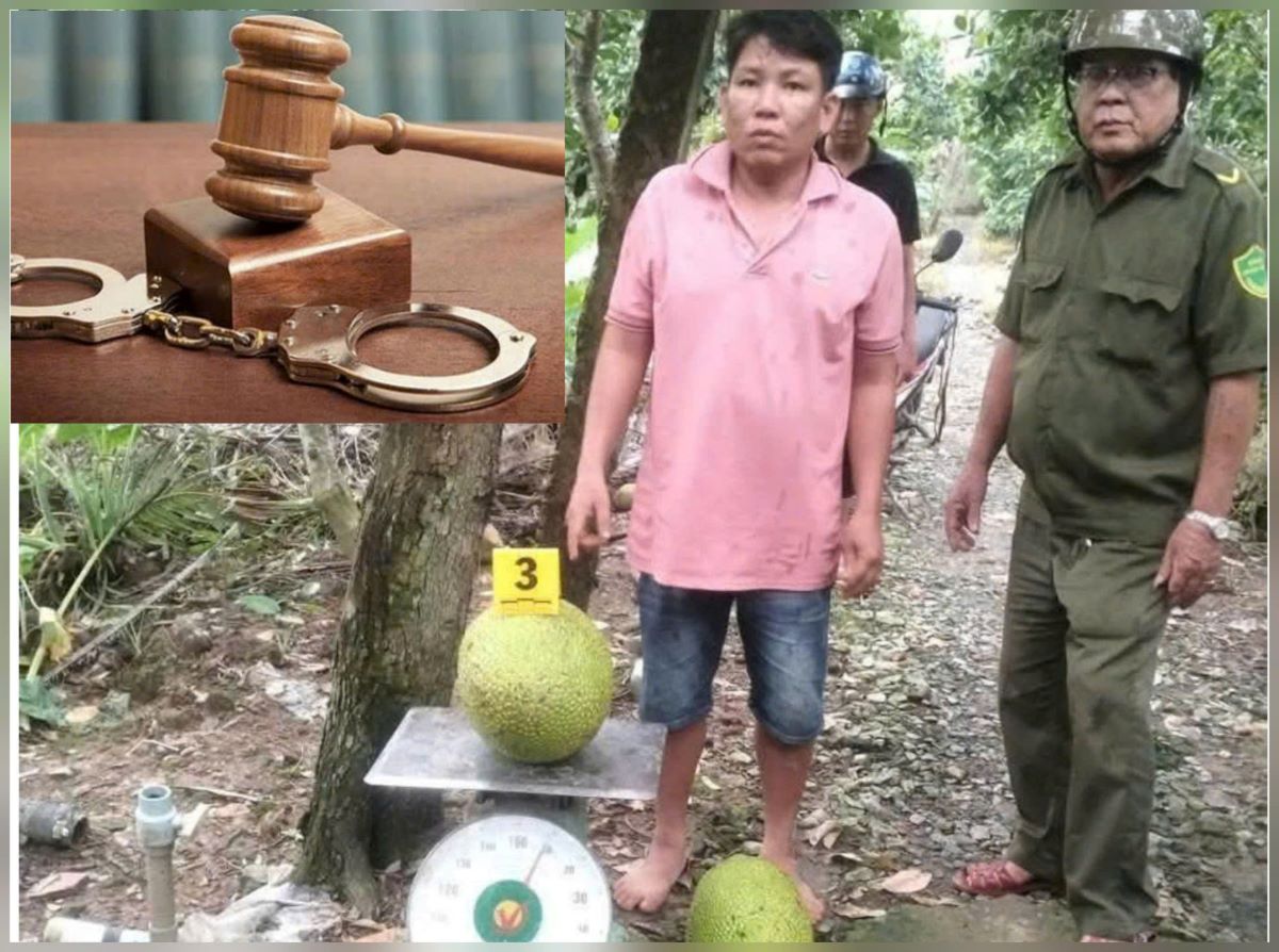 Vụ người đàn ông bị khởi tố vì trộm 2 quả mít: Luật sư tiết lộ có thể \'thoát án\' vì 1 lý do bất ngờ