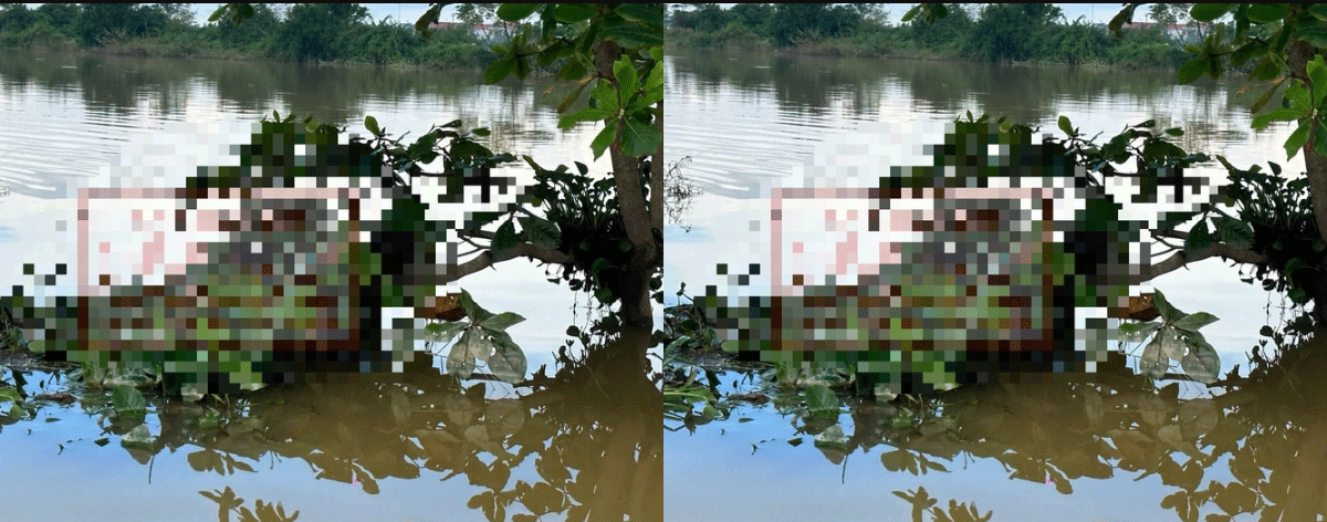 Vụ phát hiện thi thể cô gái 17 tuổi mắc trên cành cây: Xé lòng khi biết nguyên nhân tử vong