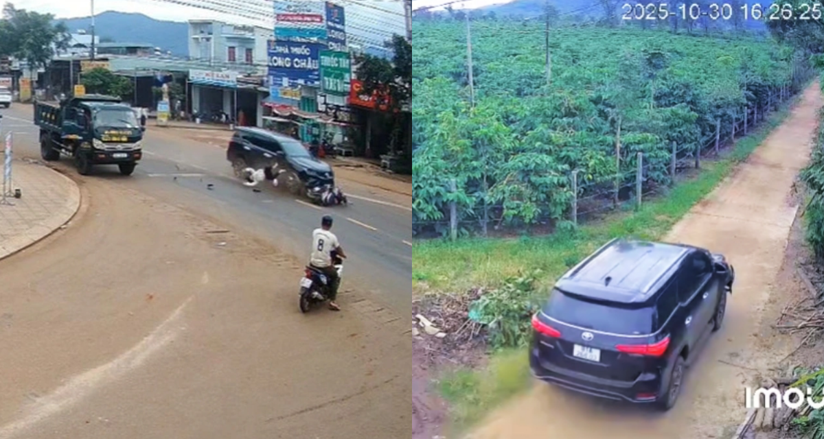 Hành trình bỏ trốn của tài xế tông chết người rồi lái xe vào rẫy cà phê, hé lộ kết quả kiểm tra nồng độ cồn 
