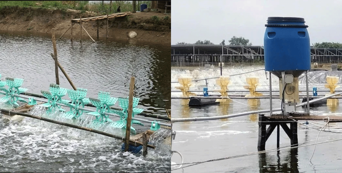 Vụ vợ bàng hoàng khi phát hiện chồng và con tử vong dưới ao nuôi tôm, hé lộ nguyên nhân ban đầu?