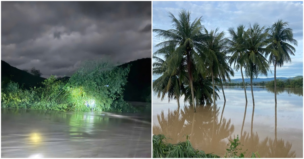 Thót tim cảnh ô tô bị cuốn trôi giữa dòng lũ, 2 người bám vào bụi tre thoát chết trong gang tấc