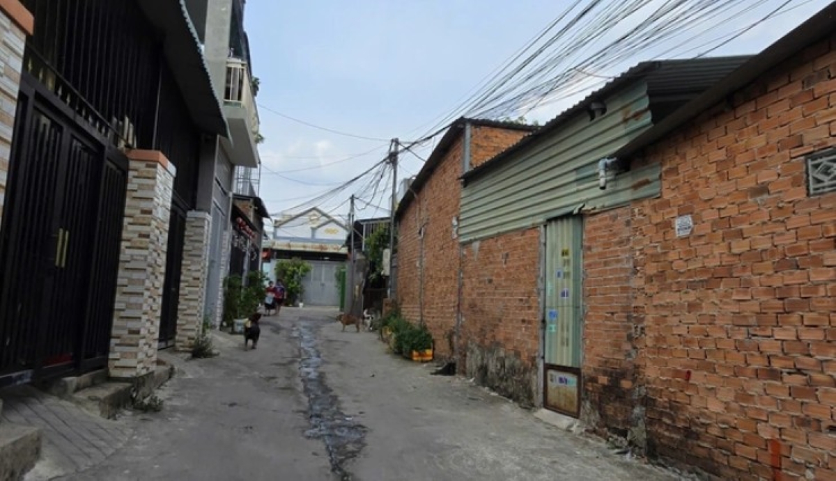 TP.HCM: Xuất hiện khu dân cư có 48 công trình xây dựng trái phép trên đất lấn chiếm của người khác