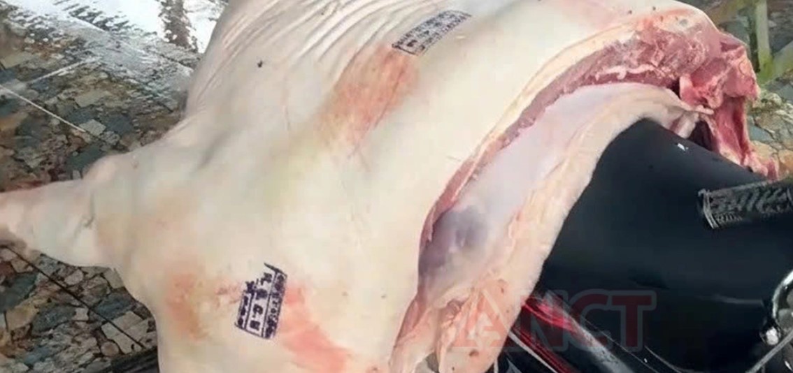 Danh tính 3 cán bộ bị khởi tố, bắt tạm giam vì đóng dấu kiểm dịch thịt heo nhiễm dịch tả châu Phi 