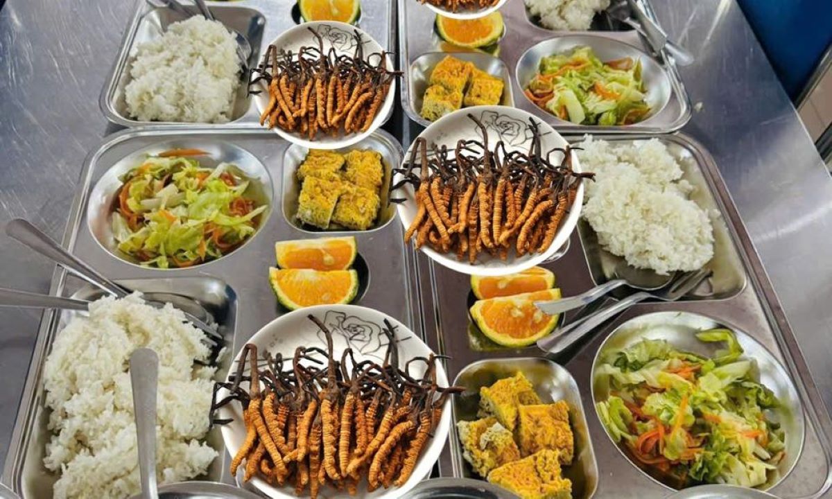 Thực hư bữa ăn toàn đông trùng hạ thảo, cua hoàng đế gây sốt ở một trường học Hà Nội